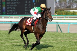 父の想いをその背に宿して。"エリート"トゥザワールドと"野武士"ワンアンドオンリーの決闘 - 2014年・弥生賞