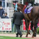 再値引きしました、スティルインラブ、三冠牝馬、的中馬券3点セット スティルインラブ「三冠牝馬に永遠の幸あれ」OHJ1-H021 | カード