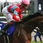重賞連勝、16連敗、感動の復活劇…。後方から追い込み続けた弥生賞馬・カデナの現役時代を振り返る