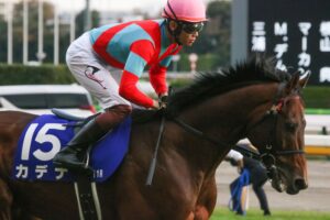 重賞連勝、16連敗、感動の復活劇…。後方から追い込み続けた弥生賞馬・カデナの現役時代を振り返る