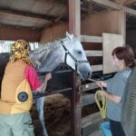 「いきいきと」馬たちが過ごせる場所を目指して。Horse Space 紡の挑戦