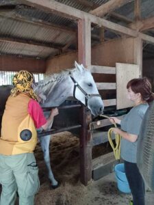 「いきいきと」馬たちが過ごせる場所を目指して。Horse Space 紡の挑戦