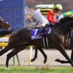 共鳴し続けろ、最強の2勝馬 - サウンズオブアース