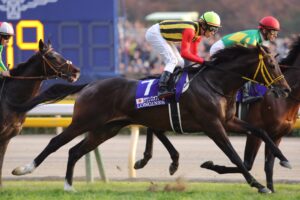 共鳴し続けろ、最強の2勝馬 - サウンズオブアース
