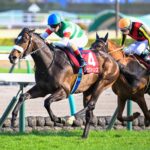 絆✨シックスペンス✨絆【メイクデビューからクラシック軌跡】 スプリングS】クラシックへの大きな一歩！シックスペンス無傷の3
