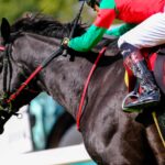 ［石神深一ブログ］マイネルグロンで阪神JSを制覇&通算200勝を達成！