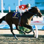 単勝万馬券の伏兵評価をひっくり返せ！ 強豪馬が集まった2004年