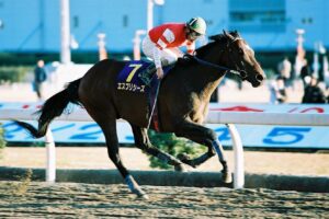 スティルインラブ　新馬　デビュー　現地 二番人気に花束を。三冠牝馬スティルインラブが戦い抜いた3歳