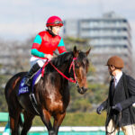 ［中山グランドジャンプ］日本でいちばん”長い”GⅠが開催された日。