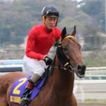 高知で咲き、高知で生涯を終えた名馬。2017年黒船賞覇者、ブラゾンドゥリス
