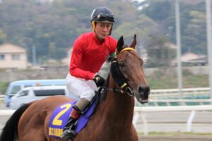 高知で咲き、高知で生涯を終えた名馬。2017年黒船賞覇者、ブラゾンドゥリス