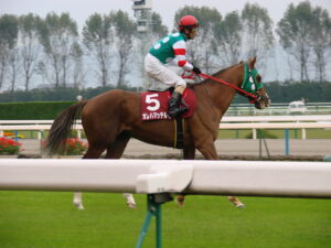 笑顔を振りまき、多くの幸せをもたらした名馬。みんなが『待っていた』ヒーロー、オレハマッテルゼ