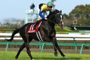 その後に待ち受けている衝撃の『第ゼロ章』。ブラックタイドのスプリングS