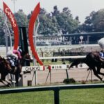 夢というダイナミズムと自制する私たち。ナリタブライアンの高松宮杯挑戦