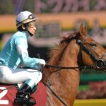 私に競馬の新たな魅力を教えてくれた記憶に残る名馬、ペルーサ