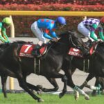 『クビ差』届かなかった東京優駿出走の夢/2013年青葉賞3着ラストインパクト