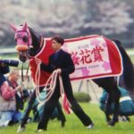 2000年の自分に贈る言葉…。花びら散らすピンクのメンコ。 - チアズグレイスの桜花賞