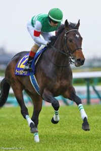 ［競馬ニュース］中央の新馬戦開幕＆安田記念開催！ほか - 今週末の競馬（2024年06月01日、02日）