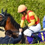 ［皐月賞］　ナリタブライアン、ロゴタイプ、ジャスティンミラノ。皐月賞をコースレコードで制した馬たち