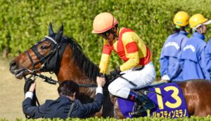 ［皐月賞］　ナリタブライアン、ロゴタイプ、ジャスティンミラノ。皐月賞をコースレコードで制した馬たち