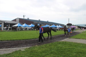 ［連載・馬主は語る］生産者が尊敬されるような競馬の未来がやってくる（シーズン3-10）