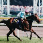 幾重にも折り重なる後ろ盾に見守られて。1997年メジロドーベルのオークス