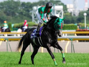 「これ、負けるヤツなのに…」　穴屋も腰を抜かした競馬を見せた、藤岡康太騎手・ジョーカプチーノのNHKマイルカップ