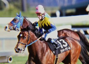 【期限切れ単勝馬券】　きさらぎ賞　2004 ハーツクライ 期限切れ単勝馬券】 新馬競走 ハーツクライ 2004/1/5 （4歳以上