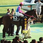 「ドトウの執念!」を生み出した原点/メイショウドトウの中京記念制覇