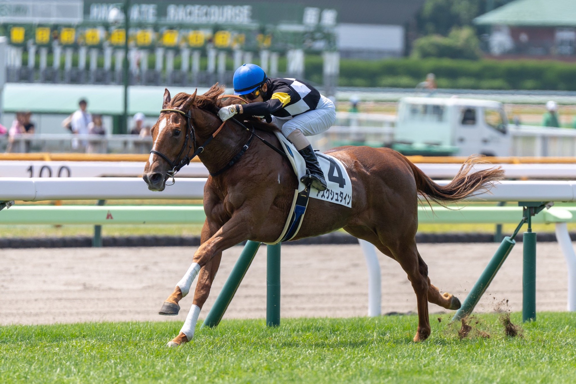 ［新馬戦振り返り］メイクデビュー勝ち馬紹介 2024/7/13,14