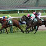 「猛暑の初秋」に咲いた可憐な花・パッシングスルー/2021年紫苑ステークス