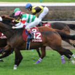 「順調さ」こそ名馬の必須条件!/2021年新潟2歳ステークス2着馬・アライバル