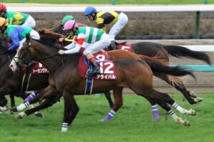 「順調さ」こそ名馬の必須条件！／２０２１年新潟２歳ステークス２着馬・アライバル