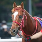 高速馬場なら負けられないマテラスカイ - 2020年クラスターC