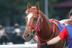高速馬場なら負けられないマテラスカイ - 2020年クラスターC