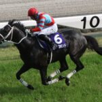 ［アイドルホース列伝］アイドルホースは「挫けた心」を救う！？　"美咲さん"が出会った推し馬、ディープボンド（夏目伊知郎さん）