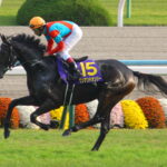 ワンアンドオンリー - ”唯一無二”にして”もう一つ”の輝き