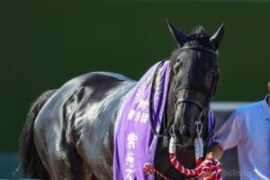 IMG_4740-300x200.jpeg