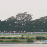 風の歌が聴こえたあの日 - 2006年菊花賞・ソングオブウインド