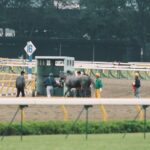 「夢の兄弟対決!」が潰えた、ビワハヤヒデのラストラン/1994年天皇賞(秋)