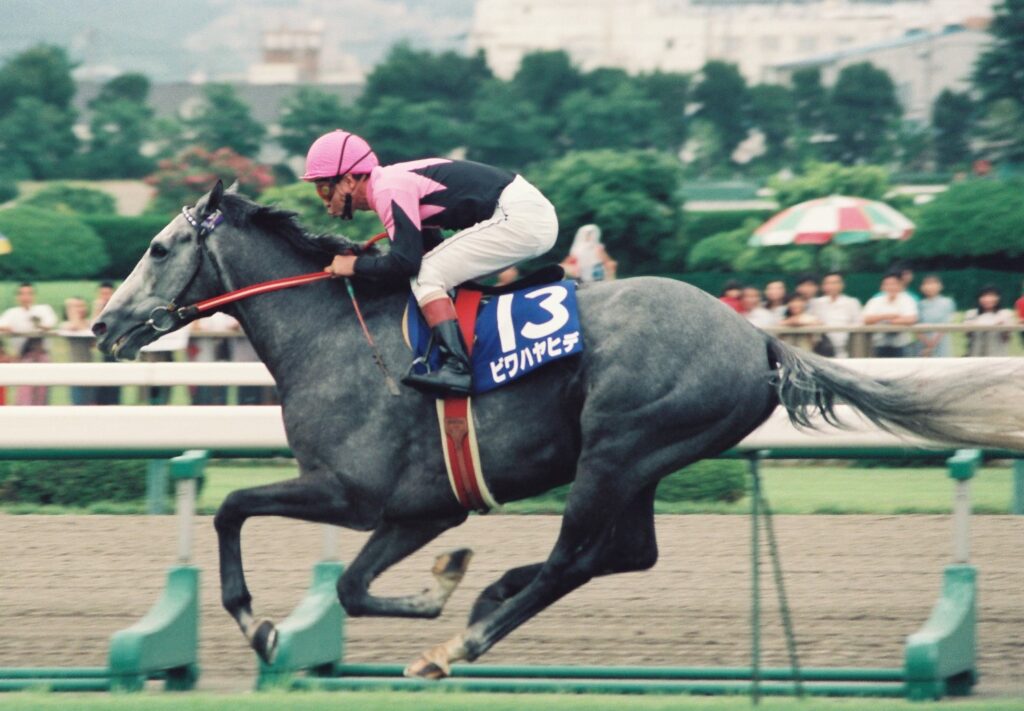 夢の兄弟対決！」が潰えた、ビワハヤヒデのラストラン／1994年天皇賞 