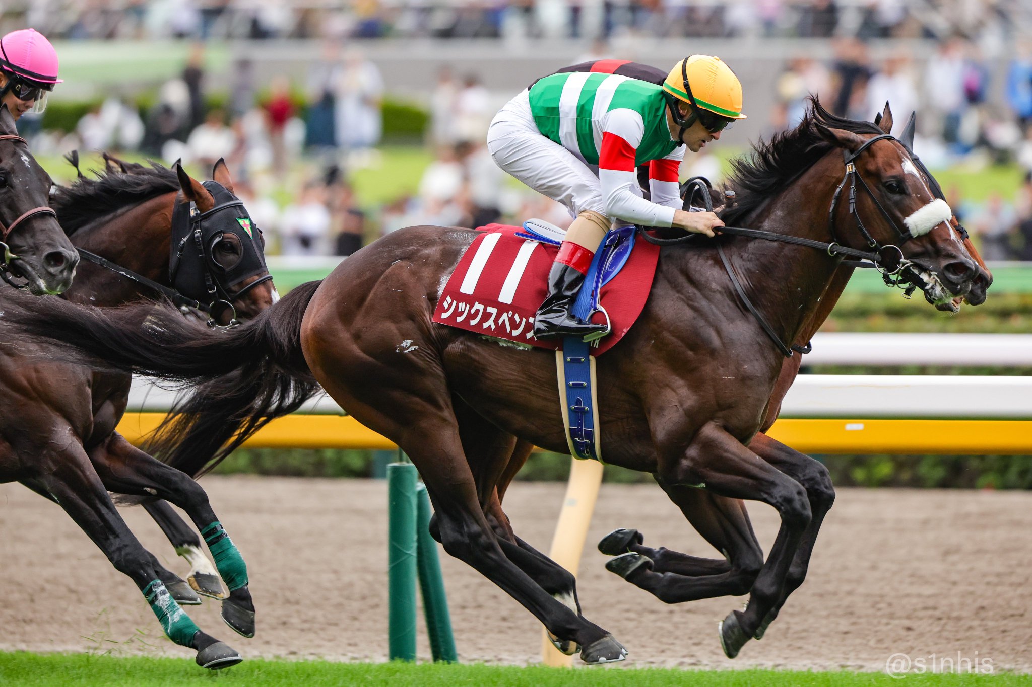 ［重賞回顧］古馬相手でも適距離では負けられない！　混戦を断った3歳馬シックスペンスが、秋初戦を快勝～2024年・毎日王冠～