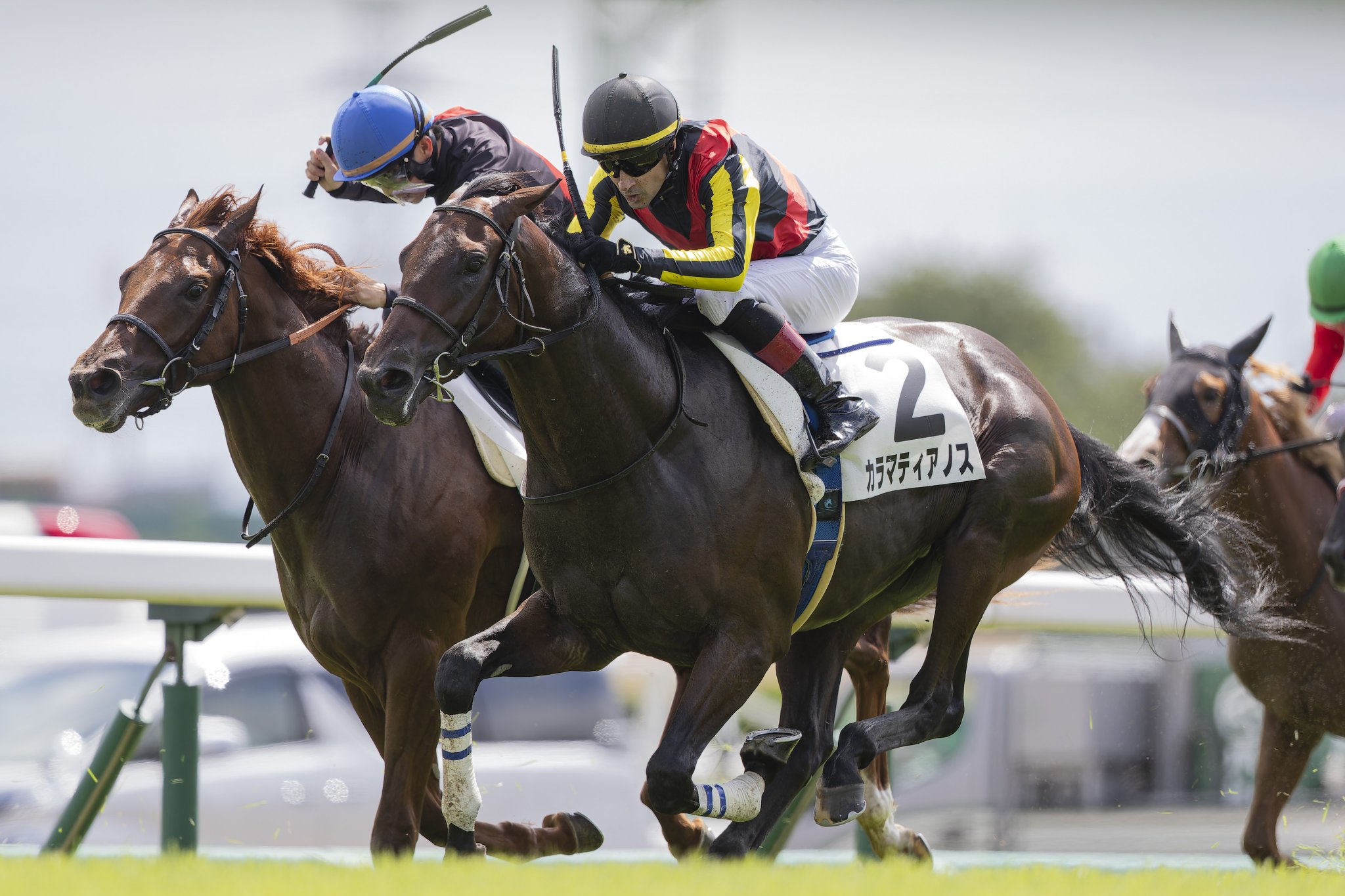 ［一口馬主］トップを目指せ！　2歳世代、今週の勝ち上がり馬たち 2024/10/12,13,14