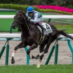 ［インタビュー］菊花賞にウインバリアシオン産駒の青森県産馬ハヤテノフクノスケが出走。種牡馬ウインバリアシオンを所有するスプリングファーム代表・佐々木拓也さんの想いとは？