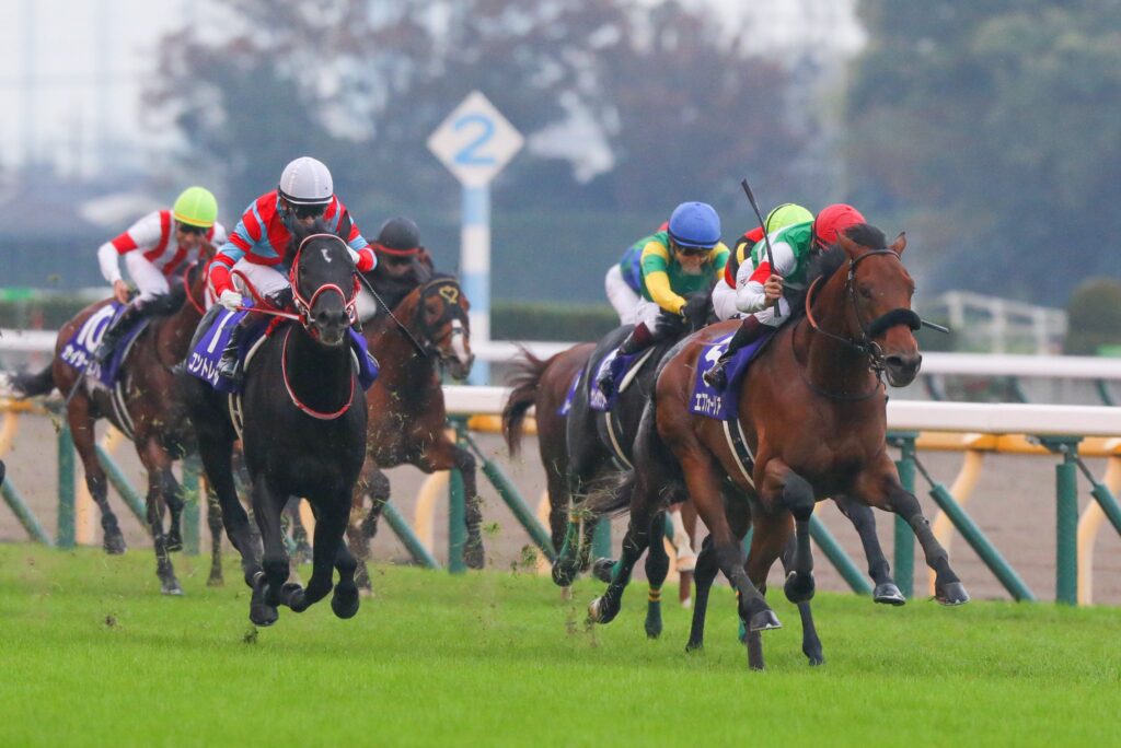 タケシ、22歳の秋。エフフォーリアと歩んだ秋の盾 | ウマフリ | 競馬コラム＆ニュース