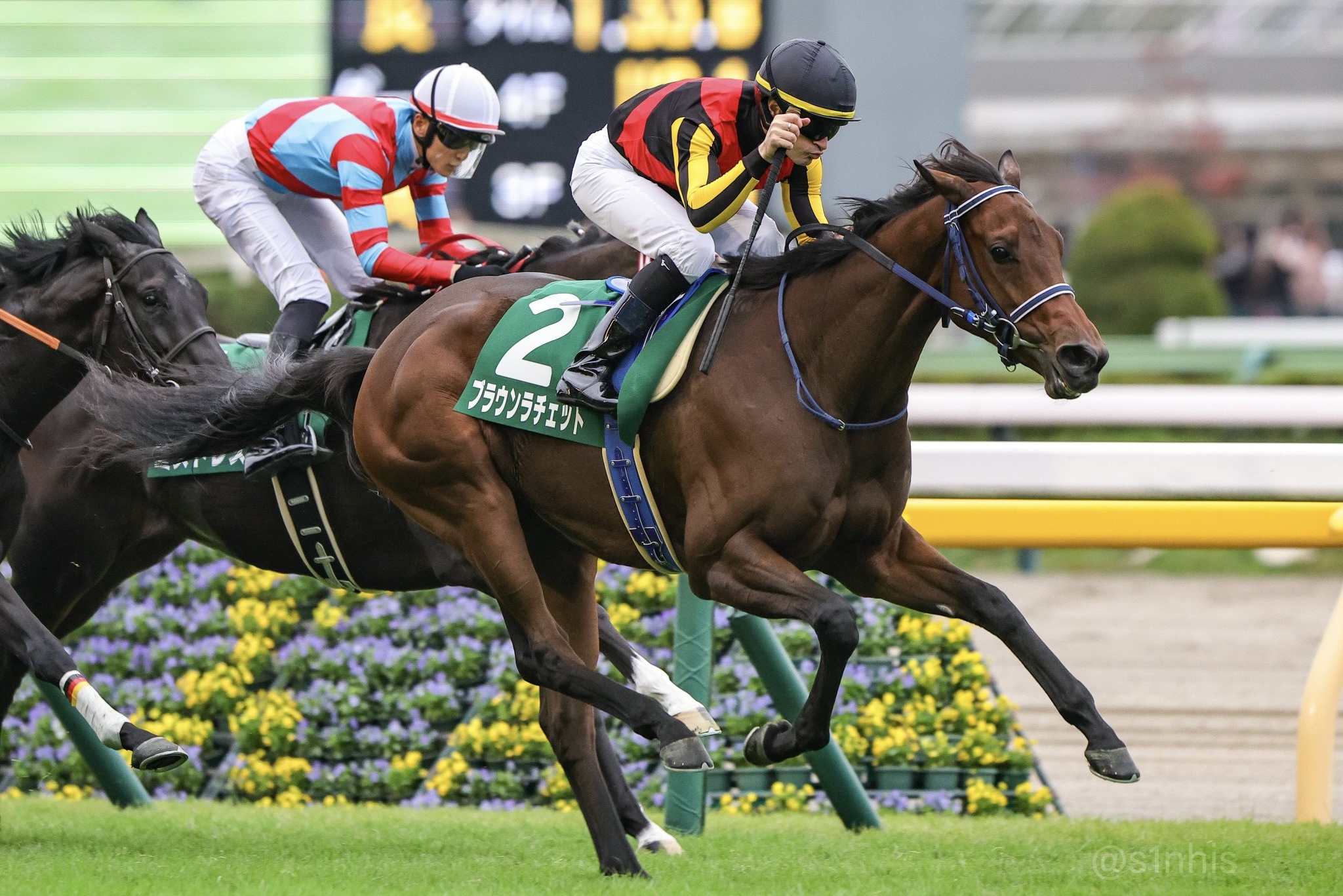 ［一口馬主］トップを目指せ！　2歳世代、今週の勝ち上がり馬たち 2024/10/26,27