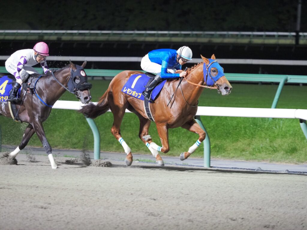 地方レース回顧］意地の連覇、意欲の挑戦〜2024年・マイルチャンピオンシップ南部杯〜（ウマフリ）｜ｄメニューニュース（NTTドコモ）