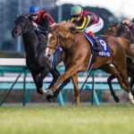 藤岡佑介騎手がフランスで調教に騎乗した感想とは！？　オルフェーヴルをめぐる『マル秘エピソード』 - デアゴスティーニ《DVD付きマガジン》日本の名馬・名勝負