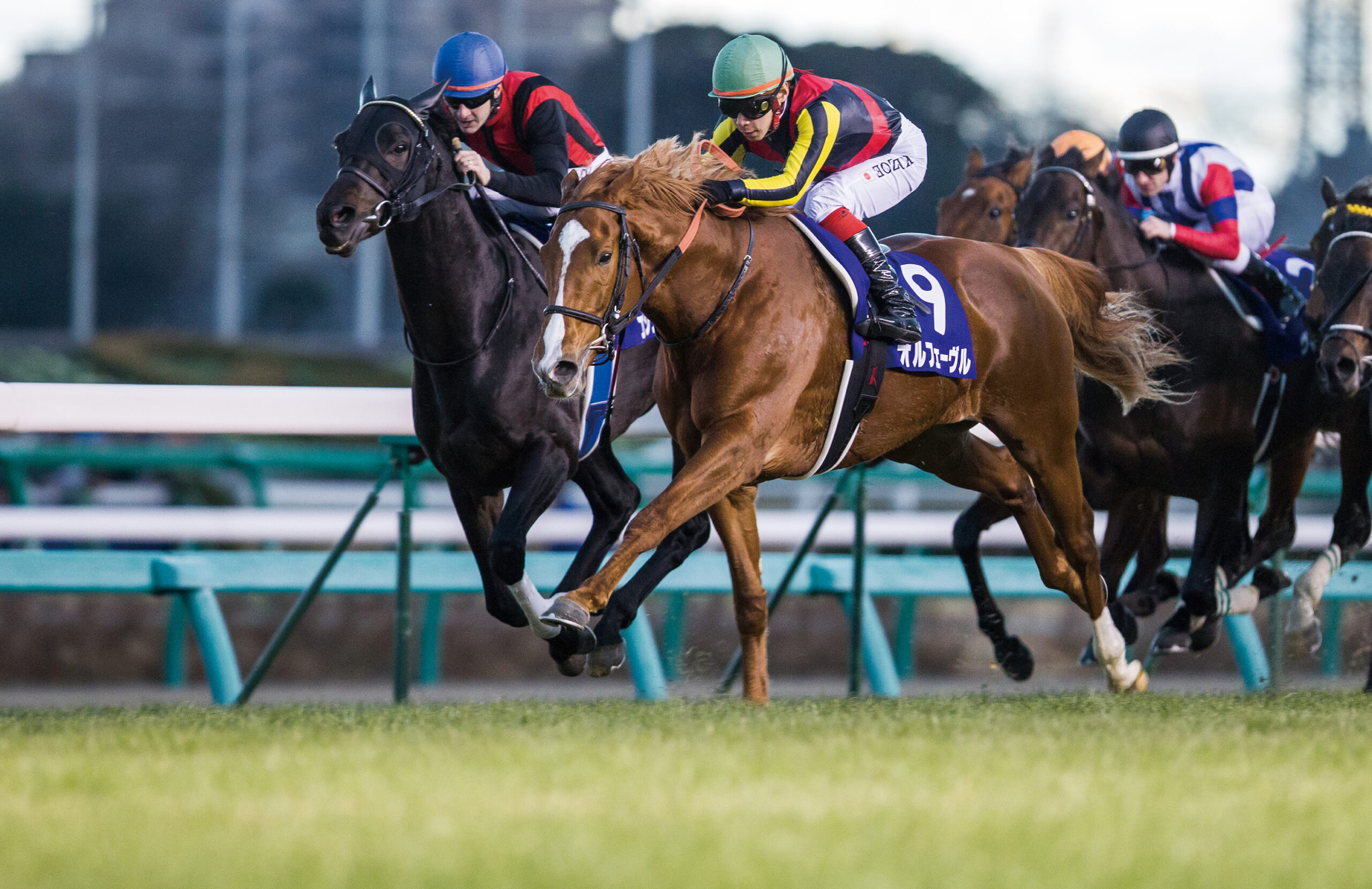 藤岡佑介騎手がフランスで調教に騎乗した感想とは！？　オルフェーヴルをめぐる『マル秘エピソード』 - デアゴスティーニ《DVD付きマガジン》日本の名馬・名勝負