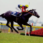 ［本日発売］ベテランアナウンサーをも興奮させた有馬記念…。オグリキャップをめぐる『マル秘エピソード』とは？ - デアゴスティーニ《DVD付きマガジン》日本の名馬・名勝負